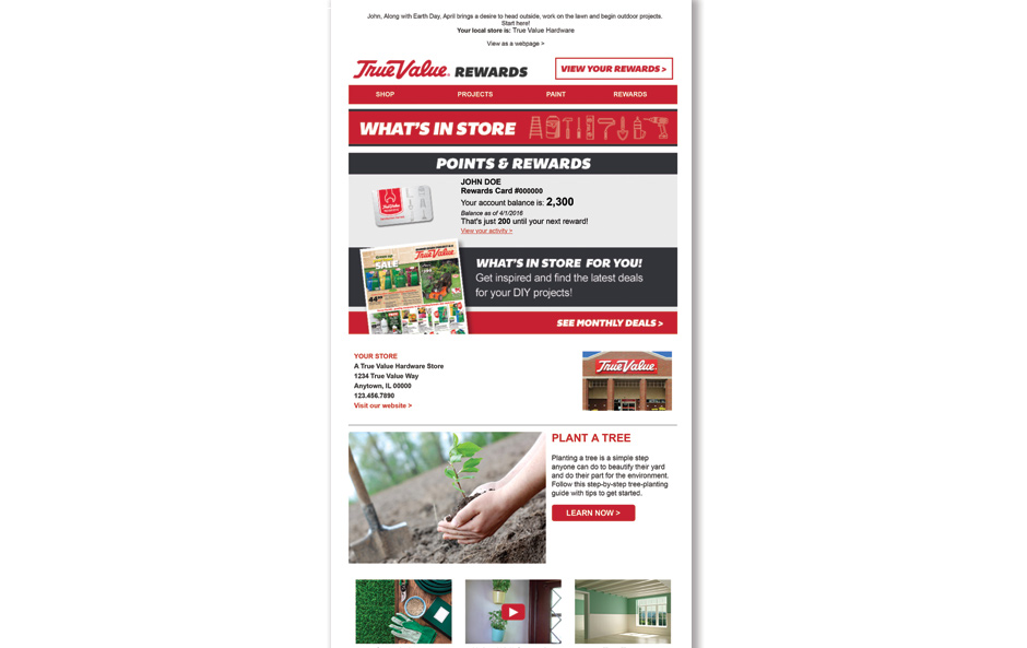 True Value What's In Store Email
